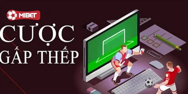 Chú ý khi chơi gấp thếp để hạn chế rủi ro