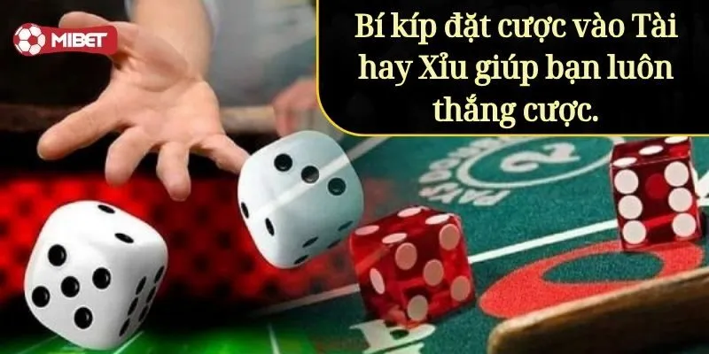 Bí kíp đặt cược vào Tài hay Xỉu giúp bạn luôn thắng cược.