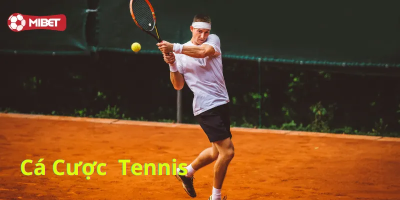 Cá Cược Tennis là gì? 