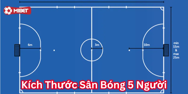 Kích Thước Sân Bóng 5 Người: Bạn Đã Biết Chưa?