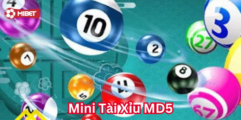 Mini Tài Xỉu MD5 chơi như thế nào