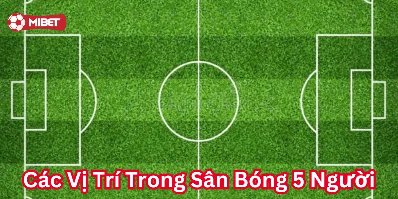 Lưu ý trong Các Vị Trí Trong Sân Bóng 5 Người